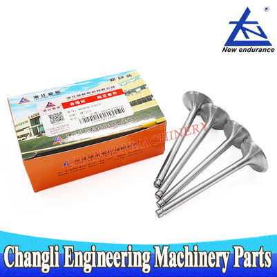 ঝেজিয়াং জিনচাই NA385B-03014 ইনটেক ভালভ NB485BPG NC485BPG 4D25G31 ডিজেল ইঞ্জিনের জন্য